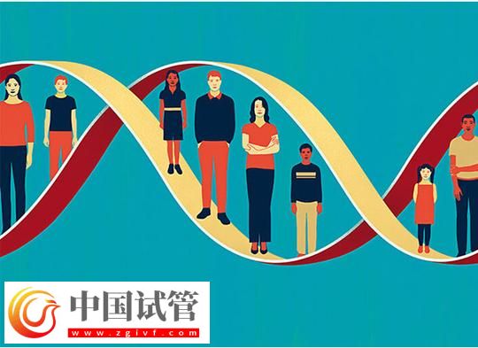 DNA親子鑒定哪里做 昌都試管嬰兒親子鑒定所在哪個位置(圖1)