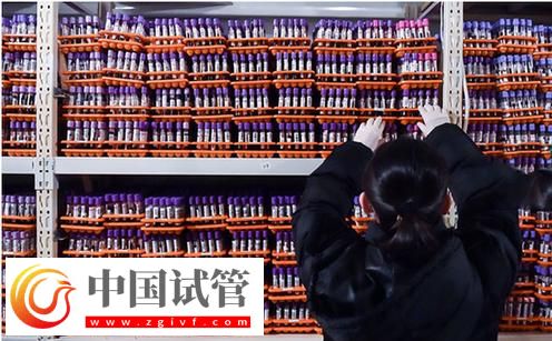 DNA親子鑒定結(jié)果 昌都試管嬰兒親子鑒定怎么比對(圖1)