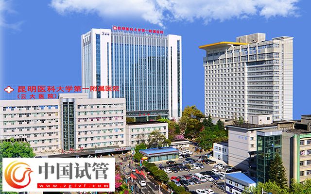 云大醫院試管嬰兒費用明細表來了，單周期收費4萬元起(圖1)