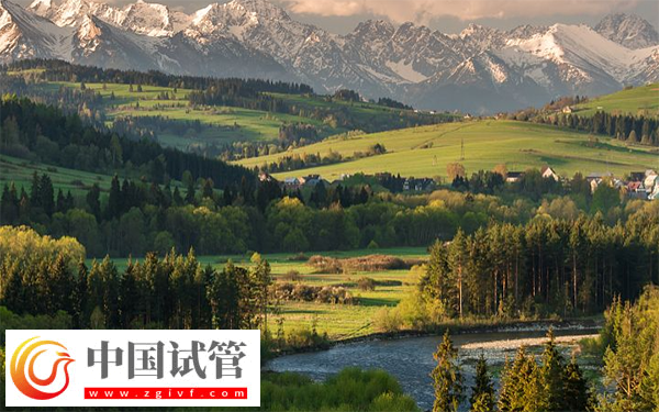 烏市供卵試管嬰兒醫院排名，不用排隊等卵的就有這兩家(圖1)