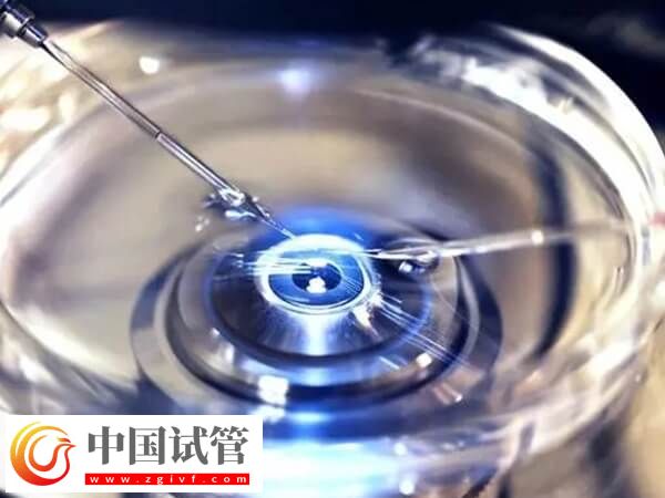 青島婦女兒童醫院助孕科普，內附開展項目及成功率(圖1)