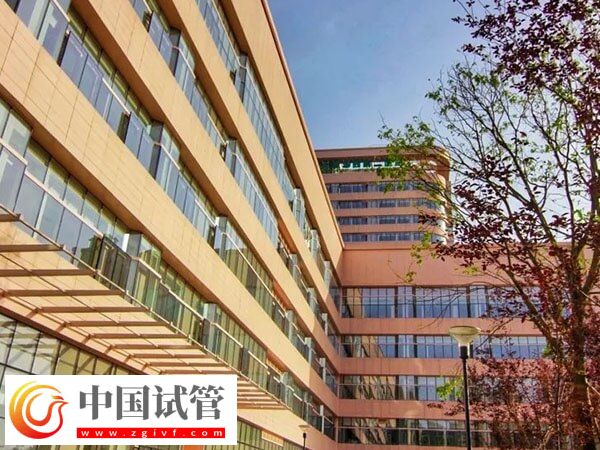 青島婦女兒童醫院助孕科普，內附開展項目及成功率(圖2)