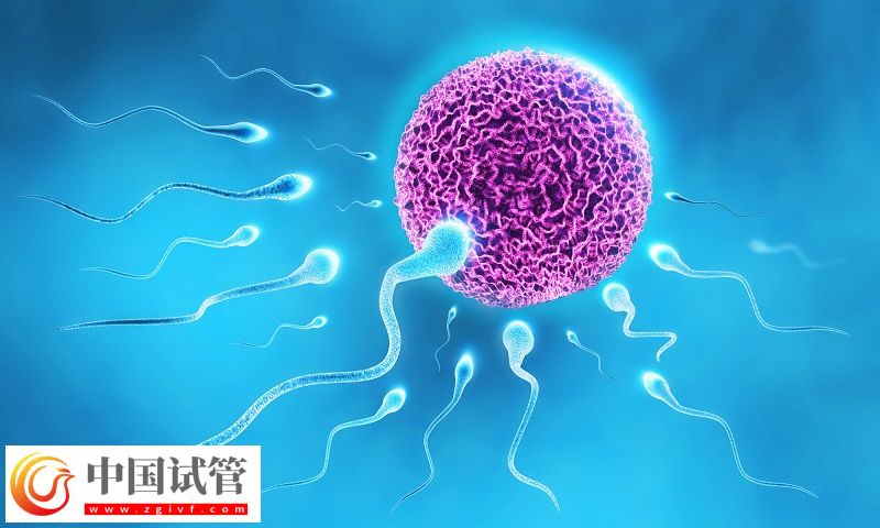 寧德十大試管機構名單(圖1)