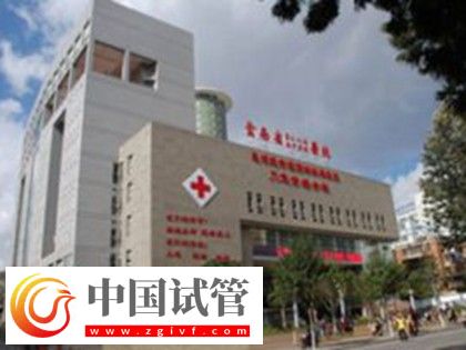 紅河有沒有做二代試管嬰兒的醫(yī)院？(圖5)