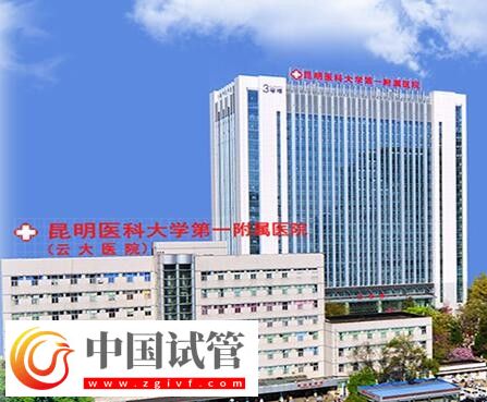 紅河有沒有做二代試管嬰兒的醫(yī)院？(圖10)