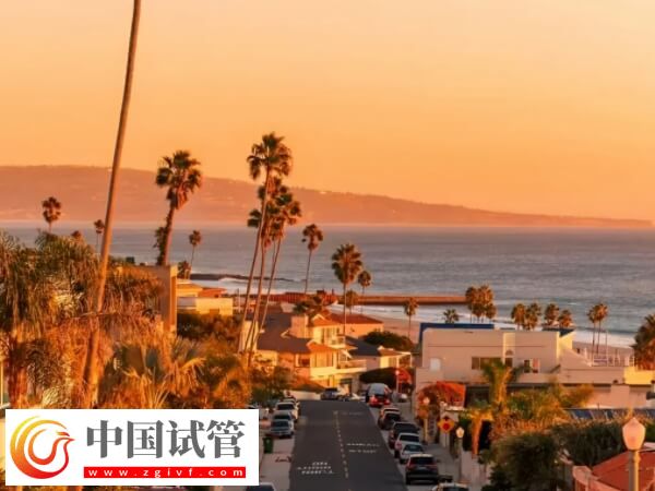 單身女人去美國做供精試管嬰兒的流程復雜嗎？(圖1)