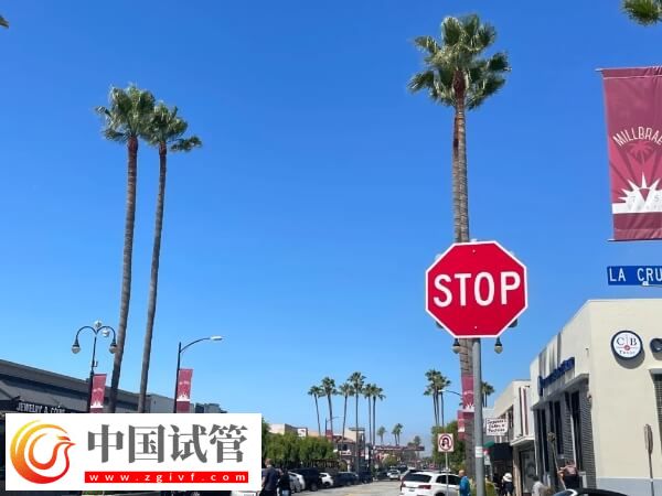 全世界范圍內試管嬰兒哪個國家技術更先進一些？(圖1)