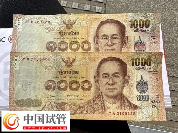 單身赴泰國做試管嬰兒會涉及哪些收費項目？(圖1)