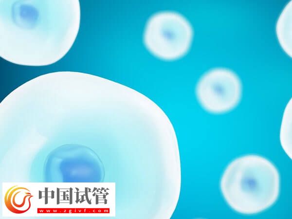 醫生是如何判斷胚胎移植位置的(圖1)