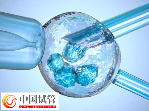 試管嬰兒移植后需不需要大補(圖1)