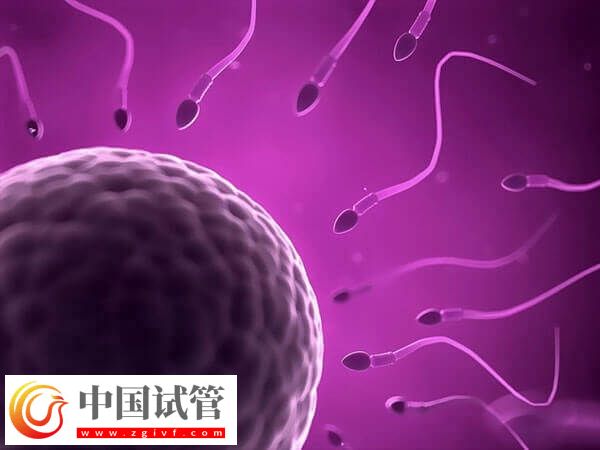 排卵期同房了沒懷孕的原因有哪些(圖1)