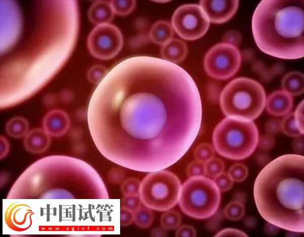 抗卵巢抗體陽(yáng)性可不可以做試管嬰兒(圖1) 抗卵巢抗體陽(yáng)性可不可以做試管嬰兒(圖1)