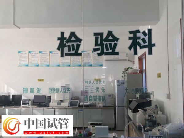 試管嬰兒取卵與精子受精過(guò)程分享，達(dá)到此數(shù)值有機(jī)會(huì)懷孕(圖2)