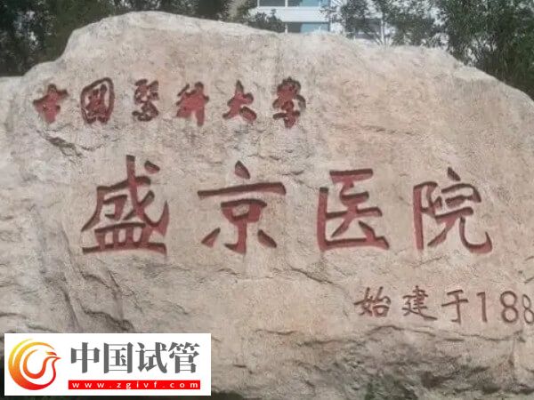 沈陽(yáng)做三代試管嬰兒好的醫(yī)院推薦,詳細(xì)助孕流程附上!(圖1) 沈陽(yáng)做三代試管嬰兒好的醫(yī)院推薦,詳細(xì)助孕流程附上!(圖1)