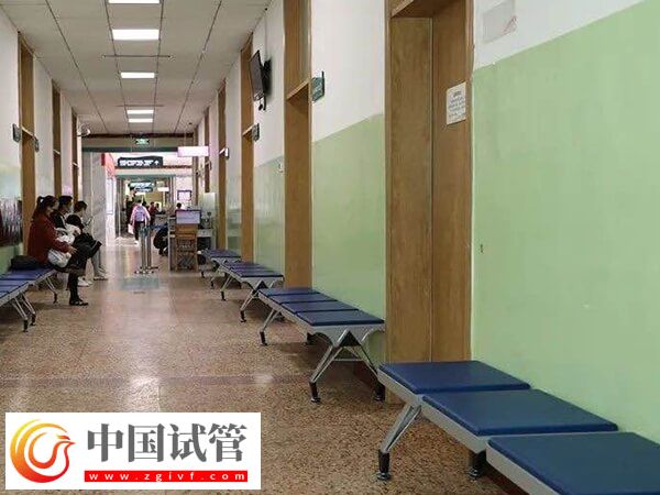 濟南公立供卵試管嬰兒機構排行榜公布，第一名實至名歸(圖2)