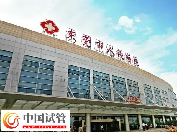 東莞二代試管嬰兒高移植率醫(yī)院匯總,附最新助孕率(圖1) 東莞二代試管嬰兒高移植率醫(yī)院匯總,附最新助孕率(圖1)