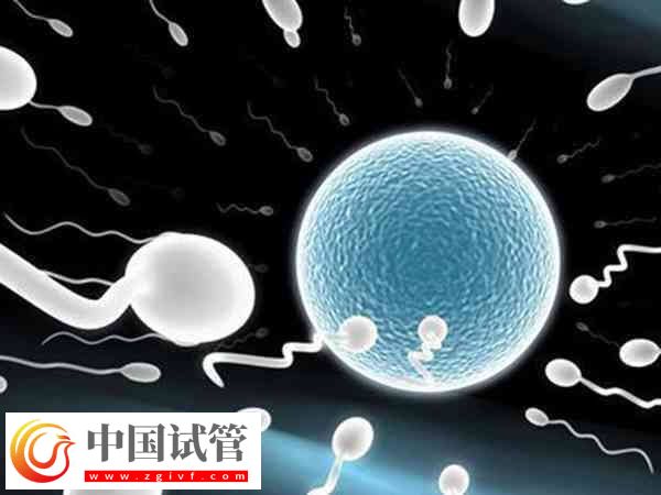 宮腔內(nèi)人工授精的危害有哪些(圖1) 宮腔內(nèi)人工授精的危害有哪些(圖1)