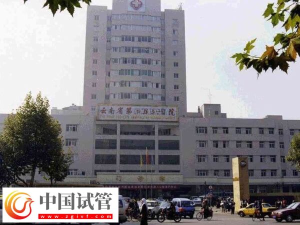 昆明供卵試管嬰兒機(jī)構(gòu)有哪些(圖1) 昆明供卵試管嬰兒機(jī)構(gòu)有哪些(圖1)