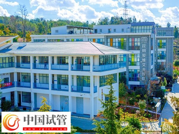 昆明民營試管嬰兒醫(yī)院大全,一看即知五華區(qū)有幾家!(圖2) 昆明民營試管嬰兒醫(yī)院大全,一看即知五華區(qū)有幾家!(圖2)