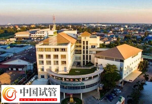 泰國三代試管嬰兒助孕率全解:心態(tài)良好或達72%!(圖2) 泰國三代試管嬰兒助孕率全解:心態(tài)良好或達72%!(圖2)