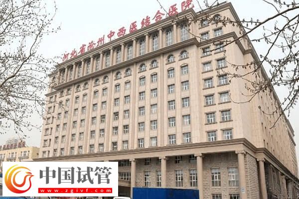 滄州高齡試管嬰兒成功率高不高(圖1) 滄州高齡試管嬰兒成功率高不高(圖1)