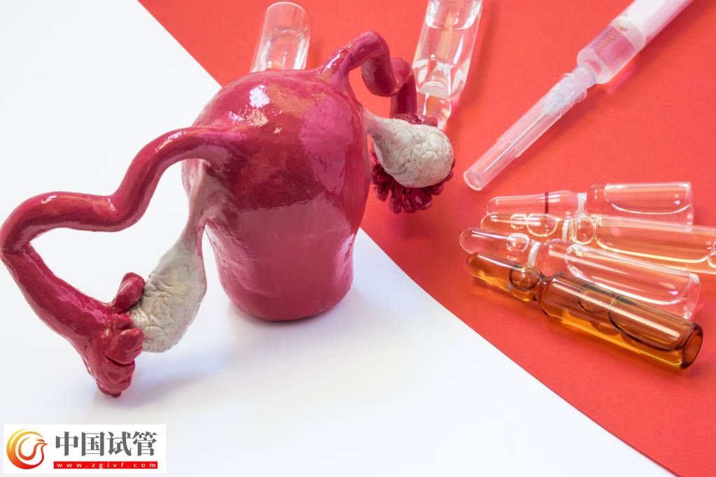 防控性病決不能放松(圖1) 防控性病決不能放松(圖1)