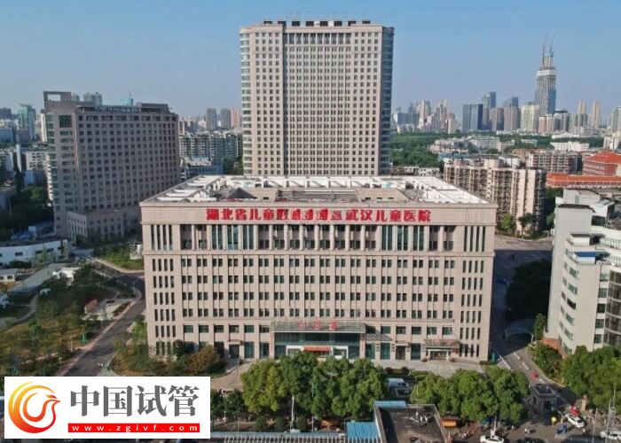 武漢供卵試管嬰兒要幾萬？醫(yī)生：一個(gè)周期不少于2萬(圖2)