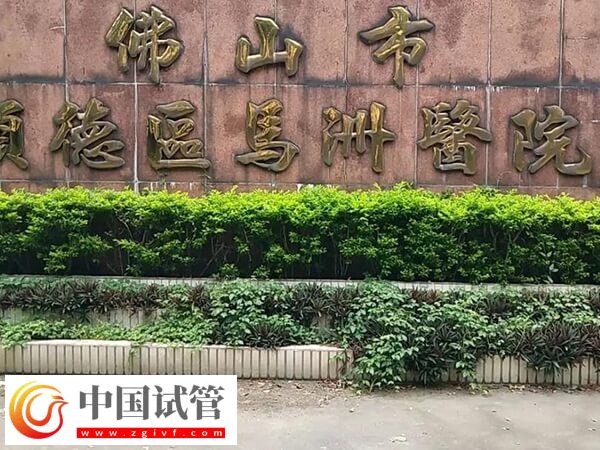 佛山試管嬰兒價(jià)格整理,做到這3點(diǎn)少花冤枉錢!(圖2) 佛山試管嬰兒價(jià)格整理,做到這3點(diǎn)少花冤枉錢!(圖2)