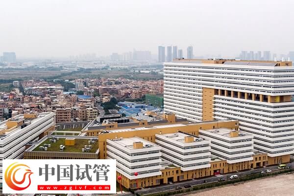 佛山試管嬰兒價(jià)格整理,做到這3點(diǎn)少花冤枉錢!(圖1) 佛山試管嬰兒價(jià)格整理,做到這3點(diǎn)少花冤枉錢!(圖1)