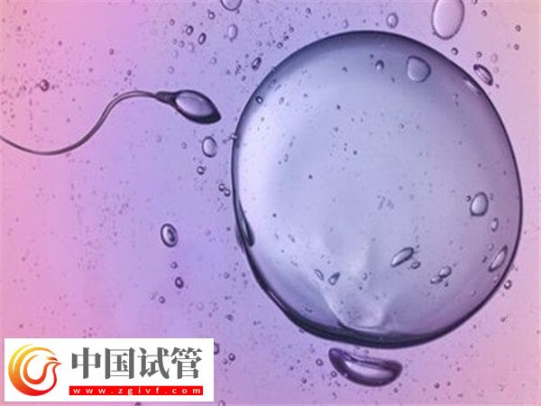 晉中試管嬰兒成功率高不高(圖1) 晉中試管嬰兒成功率高不高(圖1)