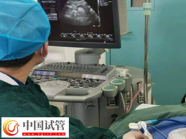 呂梁人工授精流程有哪些(圖1) 呂梁人工授精流程有哪些(圖1)