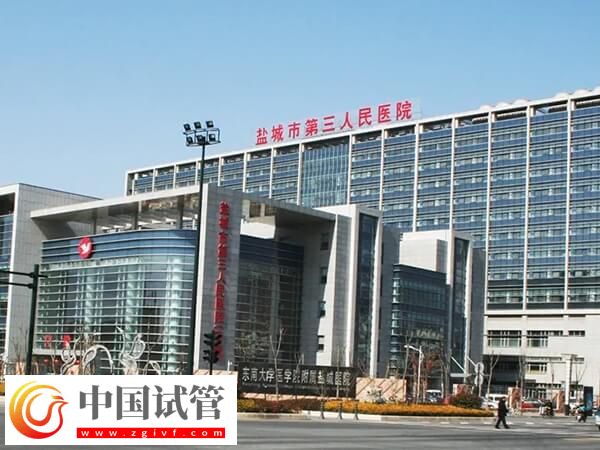 鹽城市第三人民醫院做試管嬰兒生一對雙胞胎費用多少？(圖1)