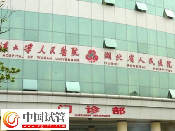 武漢大學(xué)人民醫(yī)院三代試管嬰兒花費(fèi)說明:夫妻檢查2000元起步(圖1) 武漢大學(xué)人民醫(yī)院三代試管嬰兒花費(fèi)說明:夫妻檢查2000元起步(圖1)