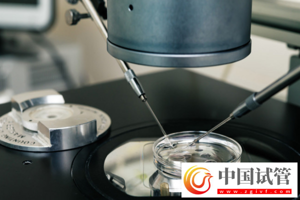 試管嬰兒移植最佳時間是什么時候？揭秘科學安排的重要性！(圖1)