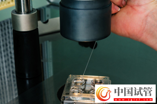 試管嬰兒移植最佳時間是什么時候？揭秘科學安排的重要性！(圖2)