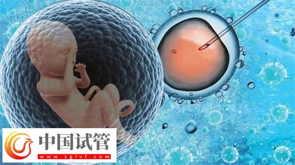 景德鎮市婦幼保健院試管費用及成功率一網打盡，匯總全面(圖1)