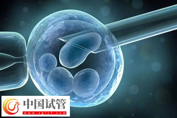 九江哪家醫(yī)院試管成功率高(圖1)