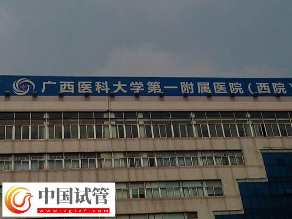 南寧生殖機構(gòu)top5全在這,哪家助孕率高一清二楚!(圖2) 南寧生殖機構(gòu)top5全在這,哪家助孕率高一清二楚!(圖2)