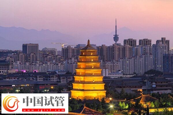 河池哪些不孕不育醫院好(圖1)