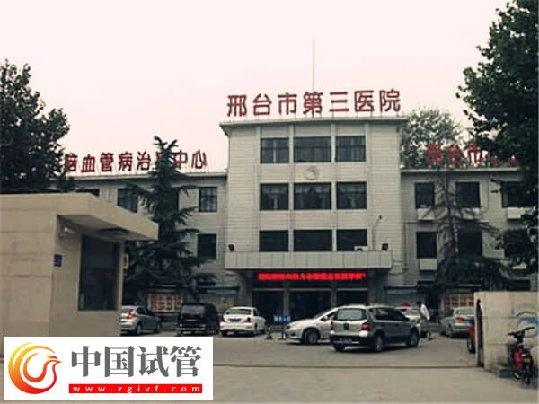 邢臺三院試管成功率高不高(圖1) 邢臺三院試管成功率高不高(圖1)