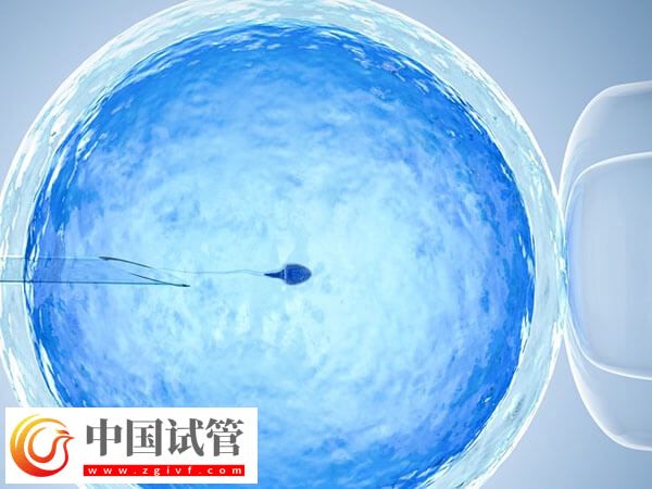 臨汾人民醫院試管流程有哪些(圖1)