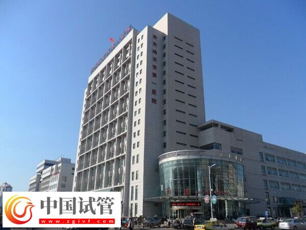 齊齊哈爾第一醫(yī)院做試管能不能用醫(yī)保(圖1) 齊齊哈爾第一醫(yī)院做試管能不能用醫(yī)保(圖1)