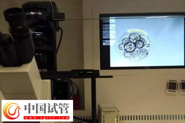 3個胚胎可以養(yǎng)囊?guī)讉€(圖1) 3個胚胎可以養(yǎng)囊?guī)讉€(圖1)