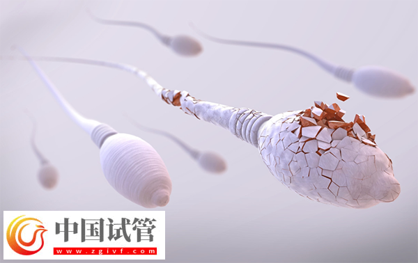 未婚女性做供精試管多少錢一次(圖1) 未婚女性做供精試管多少錢一次(圖1)