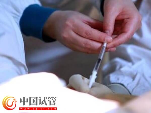 囊胚移植第五天屁多怎么回事(圖1) 囊胚移植第五天屁多怎么回事(圖1)