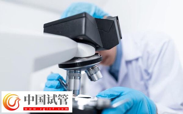 囊胚移植第五天屁多怎么回事(圖2) 囊胚移植第五天屁多怎么回事(圖2)