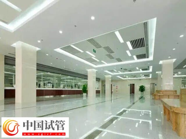 做試管嬰兒能不能選擇雙胞胎(圖1)