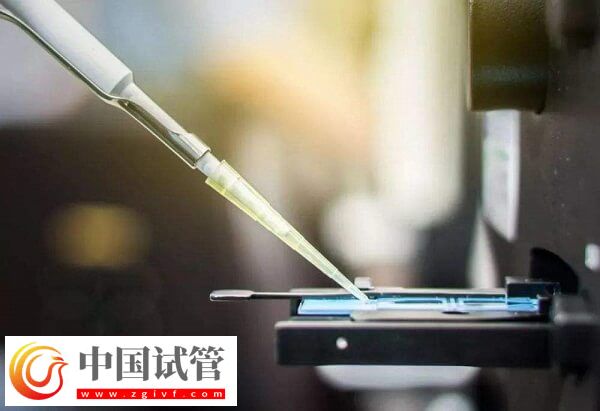 凍胚移植14天hcg300多正不正常(圖2)