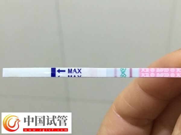 囊胚移植6天測出水印是否著床了(圖1)