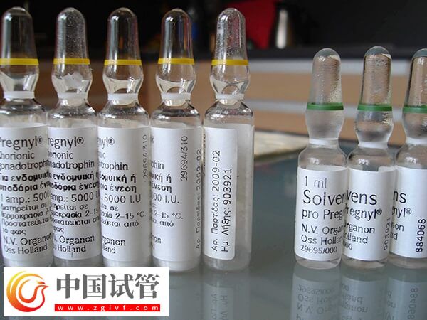 試管移植后為什么不打絨促(圖1) 試管移植后為什么不打絨促(圖1)